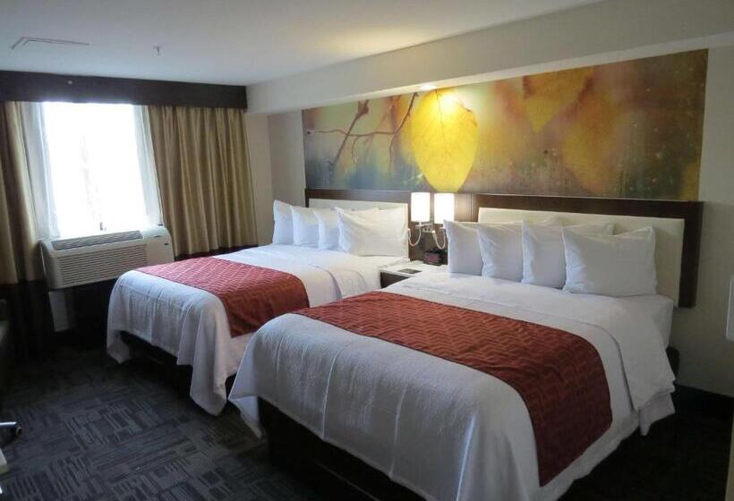 Номер Стандарт Вид на Бассейн, Holiday Inn Brookfield   Milwaukee, An Ihg