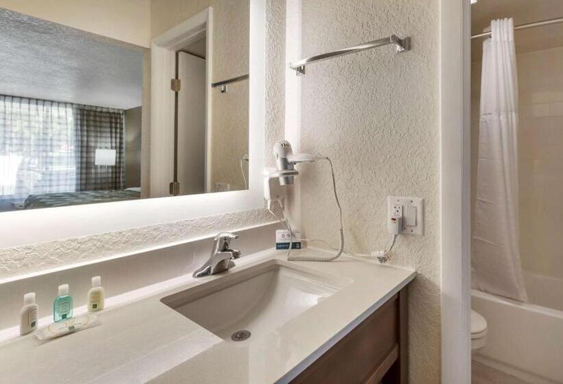 Стандартный Номер Кровать Кинг, Quality Inn Saint Petersburg Northtampa Bay