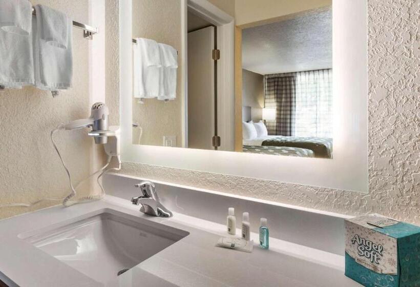Номер Стандарт, Quality Inn Saint Petersburg Northtampa Bay