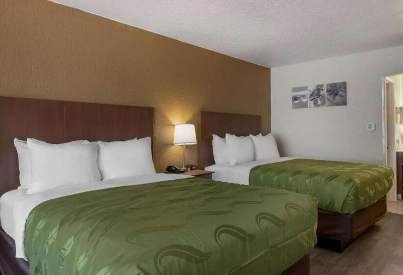 Номер Стандарт, Quality Inn Saint Petersburg Northtampa Bay