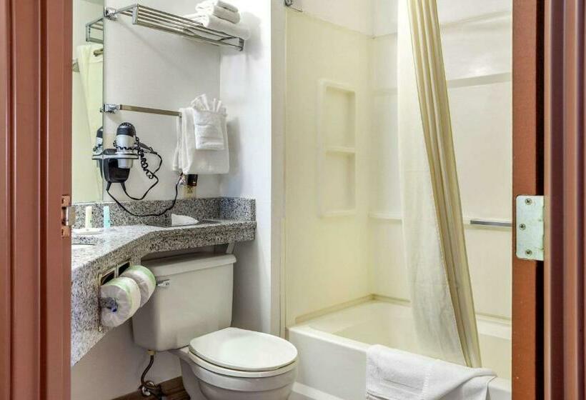 스탠다드 룸 킹사이즈 침대, Quality Inn & Suites