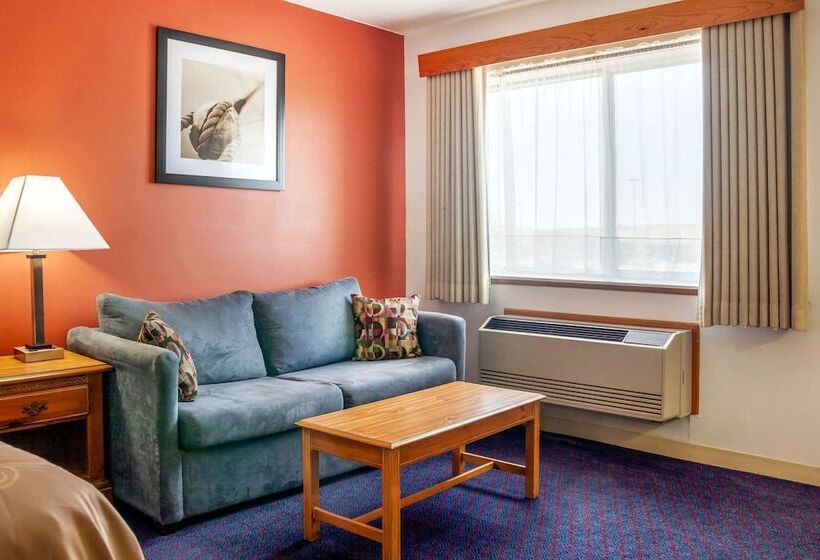 스탠다드 룸, Quality Inn & Suites