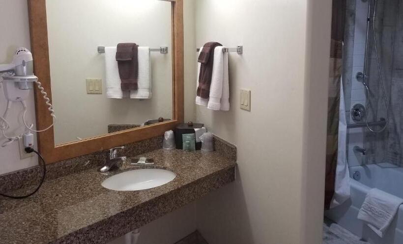 장애인을 위한 스탠다드 룸, Best Western East Zion Thunderbird Lodge