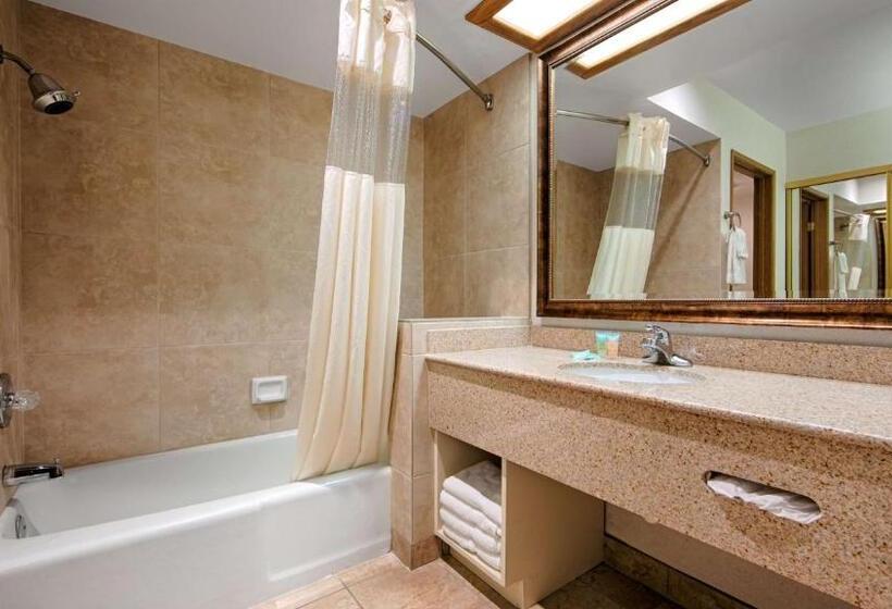 장애인을 위한 킹사이즈 침대 스탠다드 룸, Best Western Plus Big America