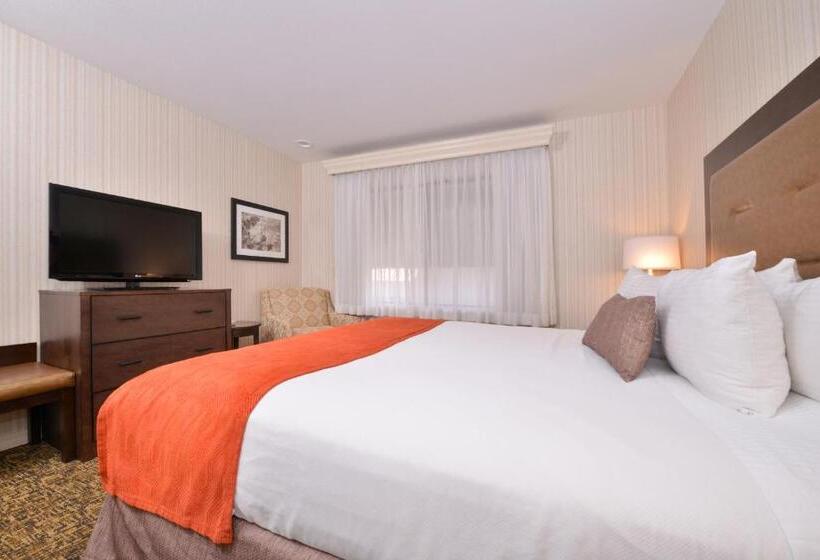 장애인을 위한 킹사이즈 침대 스탠다드 룸, Best Western Plus Big America