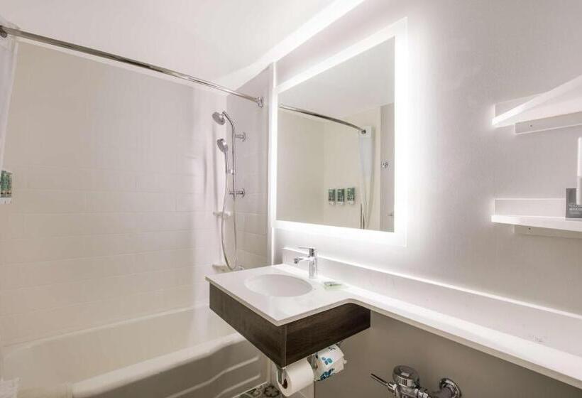 스탠다드 룸 킹사이즈 침대, Best Western Sea Island Inn