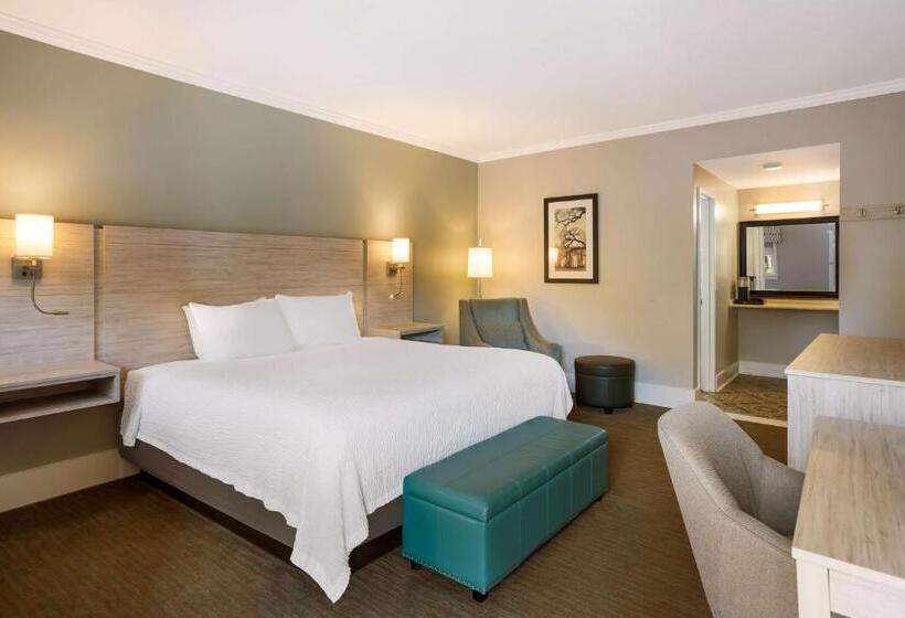 스탠다드 룸 킹사이즈 침대, Best Western Sea Island Inn