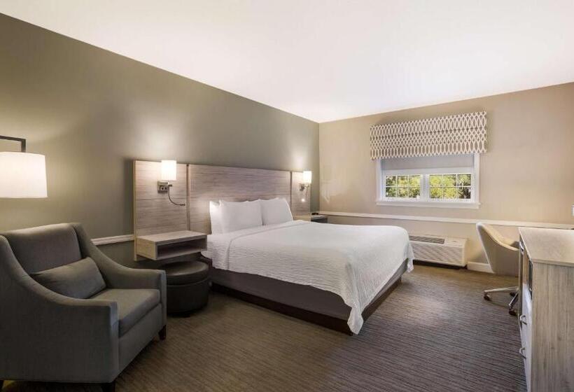 스탠다드 룸 킹사이즈 침대, Best Western Sea Island Inn