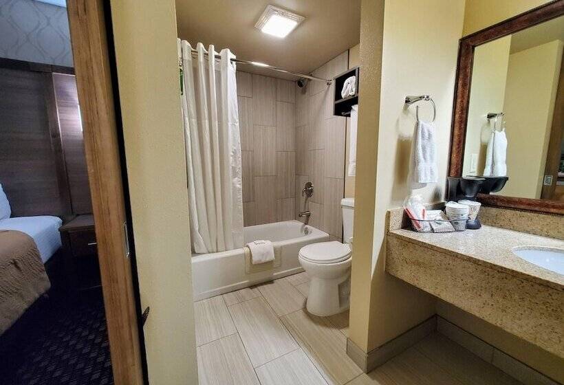 اتاق استاندارد با 2 تخت دوبل, Ramkota Hotel Watertown