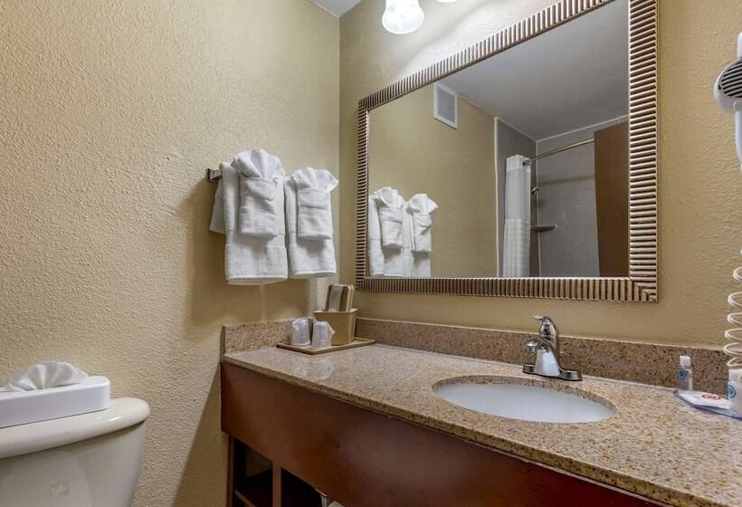חדר סטנדרט עם מיטת קינג, Comfort Inn Fort Mill Amusement Park At Carowinds Blvd