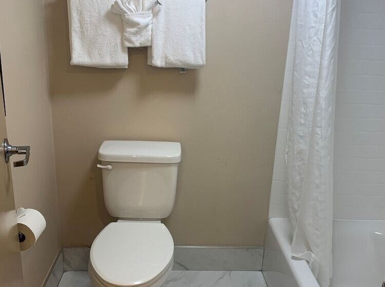 Номер Стандарт 2 Двуспальные Кровати, Comfort Inn Horsham  Philadelphia