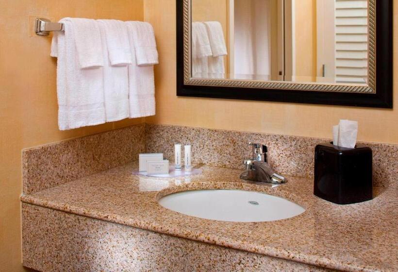 장애인을 위한 킹사이즈 침대 스탠다드 룸, Courtyard By Marriott Little Rock West
