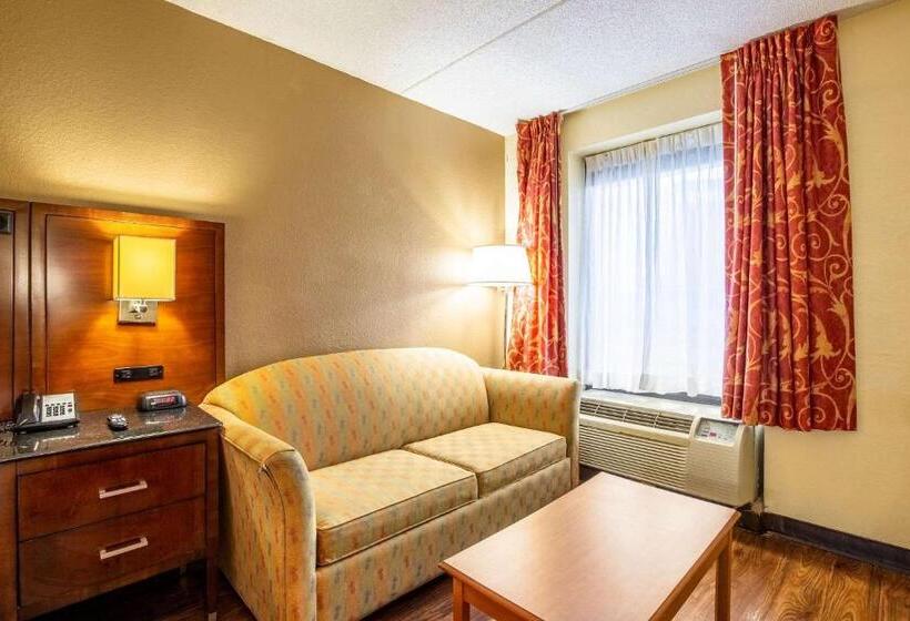 Номер Стандарт Кровать Кинг Адаптированный для Инвалидов, Econo Lodge Naval Station Norfolk