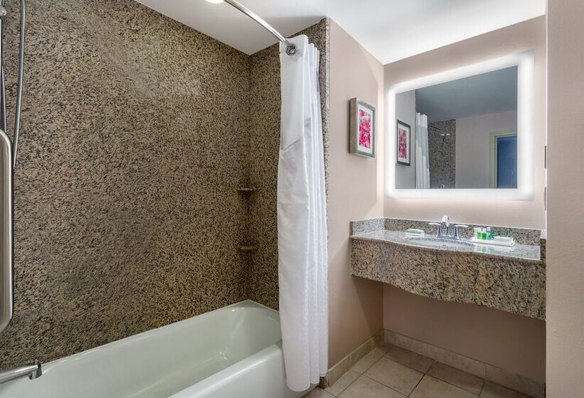 اتاق استاندارد, Holiday Inn Winter Haven, An Ihg