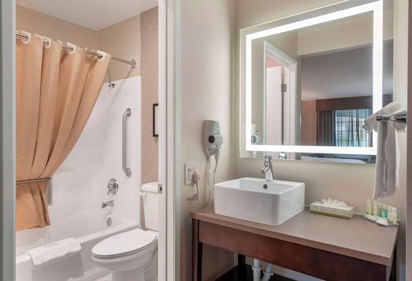 带2个双人床的标准工作室, Quality Inn & Suites Camarillooxnard
