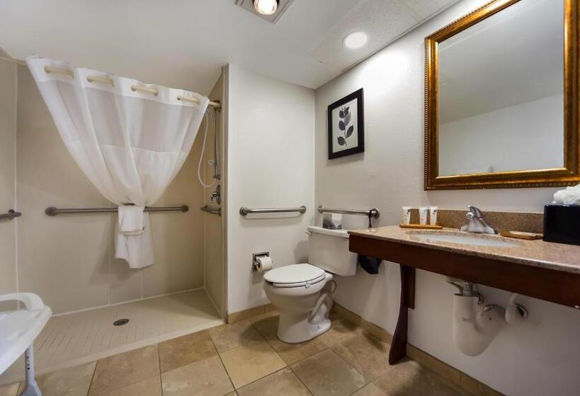 스탠다드 룸 킹사이즈 침대, Country Inn & Suites By Radisson, Lincoln Airport, Ne