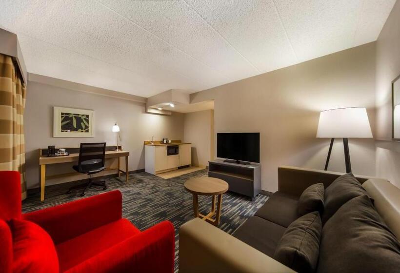 스위트 킹사이즈 침대, Country Inn & Suites By Radisson, Lincoln Airport, Ne