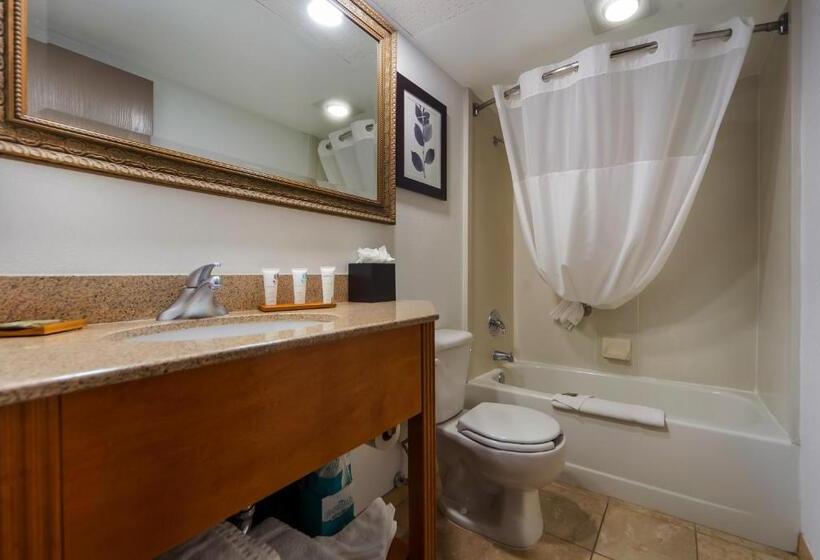 스위트 킹사이즈 침대, Country Inn & Suites By Radisson, Lincoln Airport, Ne