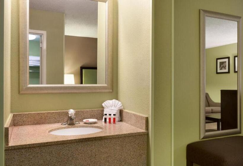 キングサイズベッドのスタンダードルーム, Days Inn By Wyndham Baltimore Inner Harbor