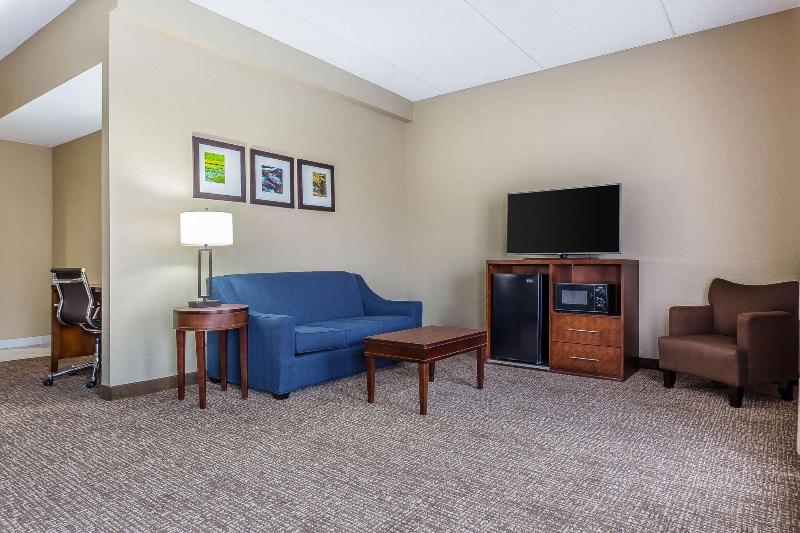 스탠다드 룸 킹사이즈 침대, Quality Inn & Suites Orlando East   Ucf Area