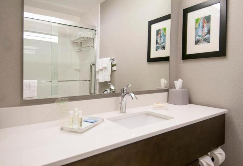 Superior Room, Holiday Inn   New Orleans Airport North, An Ihg