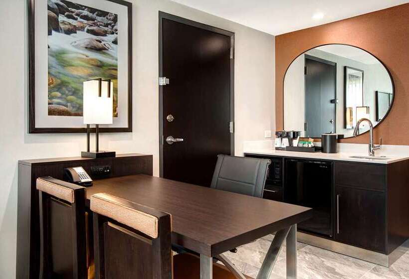 Люкс, Doubletree By Hilton Houston Medical Center Hotel & Suites