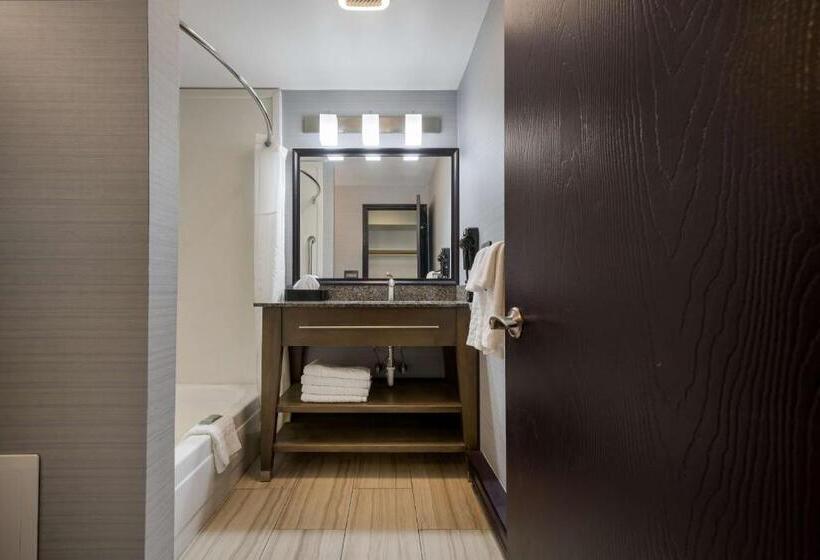 Стандартный Номер Кровать Кинг, Best Western Freeport Inn