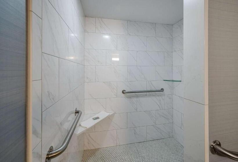 Номер Стандарт Адаптированный для Инвалидов, Best Western Freeport Inn