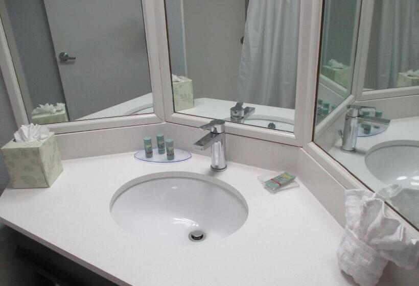 스탠다드 룸 킹사이즈 침대, Best Western Southwest Little Rock