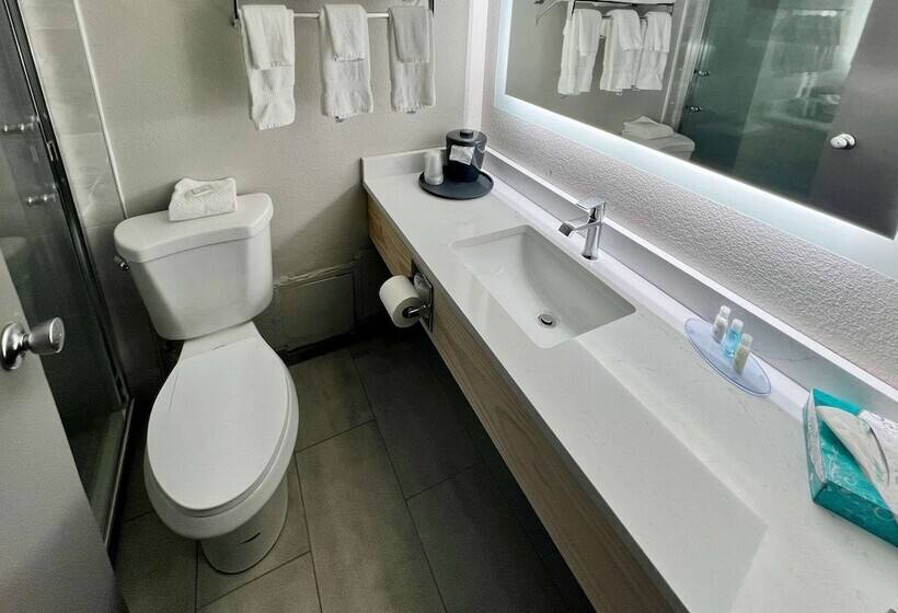 Standard Værelse 2 Dobbeltsenge, Clarion Hotel & Convention Center Joliet