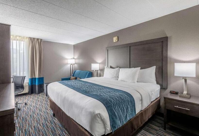 스탠다드 룸 킹사이즈 침대, Comfort Inn Chicago Schaumburg  O Hare Airport