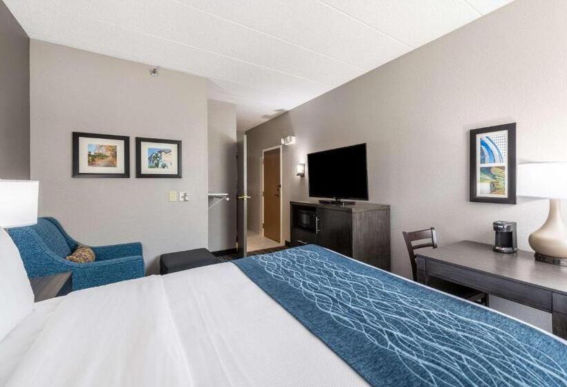 장애인을 위한 킹사이즈 침대 스탠다드 룸, Comfort Inn Chicago Schaumburg  O Hare Airport