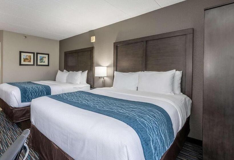 스탠다드 룸 더블 침대 2개, Comfort Inn Chicago Schaumburg  O Hare Airport