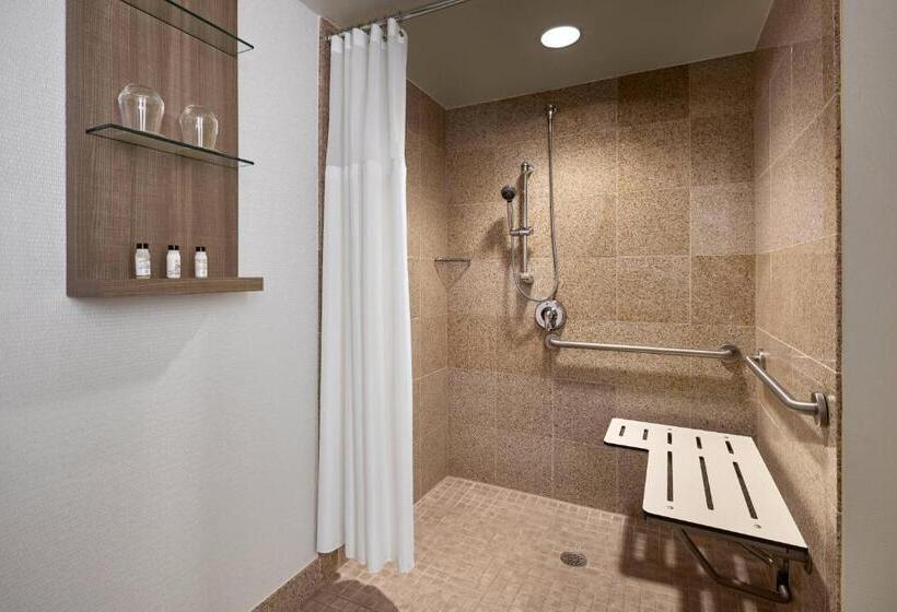 스탠다드 룸 킹사이즈 침대, Delta Hotels By Marriott Chesapeake Norfolk