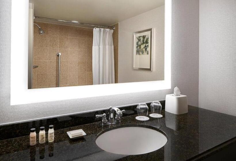 스탠다드 룸 더블 침대 2개, Delta Hotels By Marriott Chesapeake Norfolk