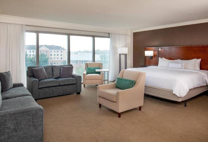 스탠다드 스튜디오 킹침대, Delta Hotels By Marriott Chesapeake Norfolk