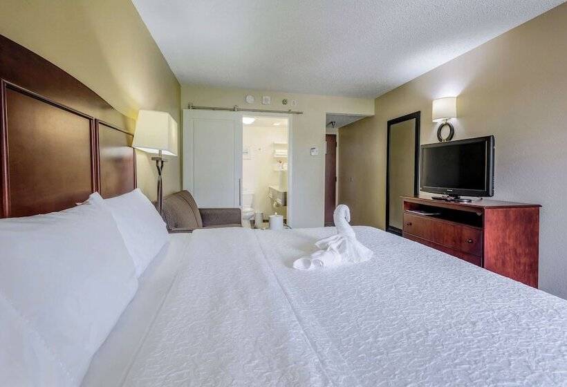スタンダードルーム, Hampton Inn Tampainternational Airport/westshore