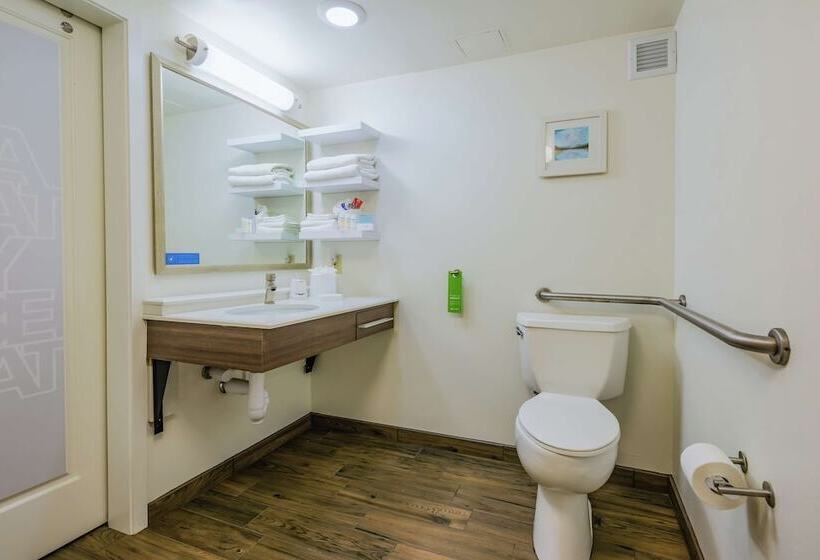 ２ダブルベッドのスタンダードルーム, Hampton Inn Tampainternational Airport/westshore