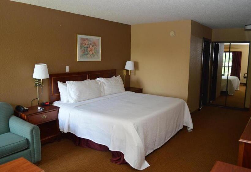 Стандартный Номер Кровать Кинг, Ontario Airport Inn