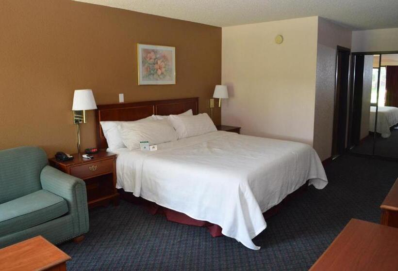 Стандартный Номер Кровать Кинг, Ontario Airport Inn
