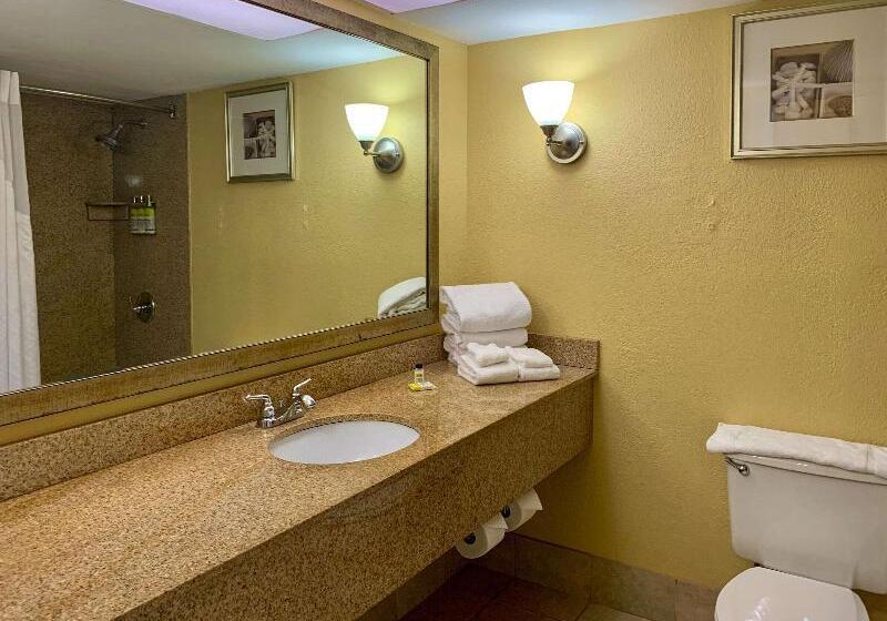 Standardrum King Size Säng, B&b Hotel Miami Airport