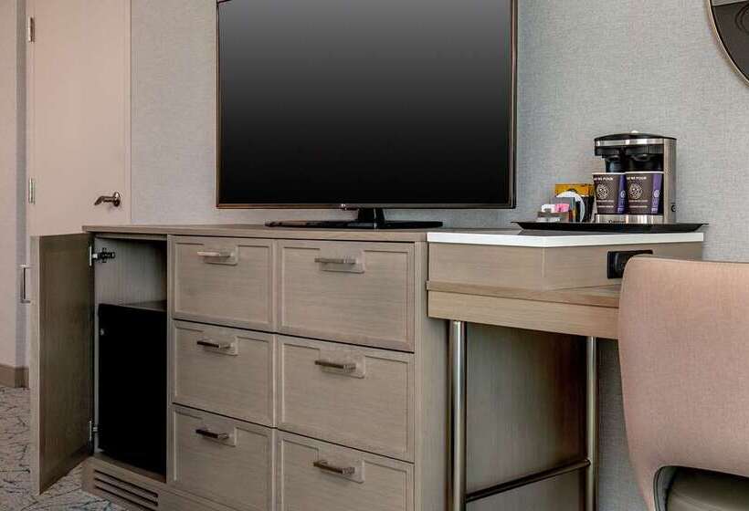 キングサイズベッドのスタンダードルーム, Doubletree By Hilton Washington Dc Silver Spring