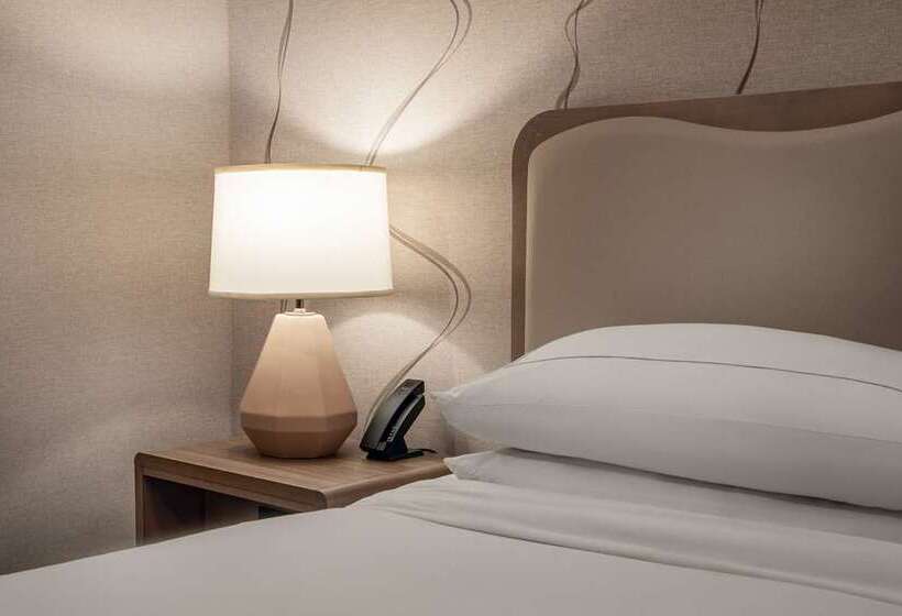 キングサイズベッドのスタンダードルーム, Doubletree By Hilton Washington Dc Silver Spring