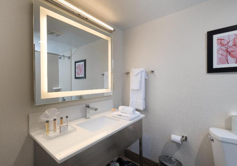 标准间, Doubletree By Hilton Fort Worth South