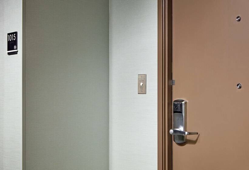 Suite Adaptée aux Personnes à Mobilité Réduite, Hilton Houston Plaza/medical Center