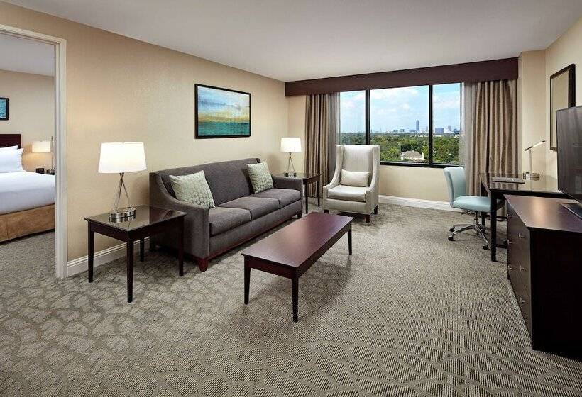 Chambre Standard Adaptée aux Personnes à Mobilité Réduite, Hilton Houston Plaza/medical Center