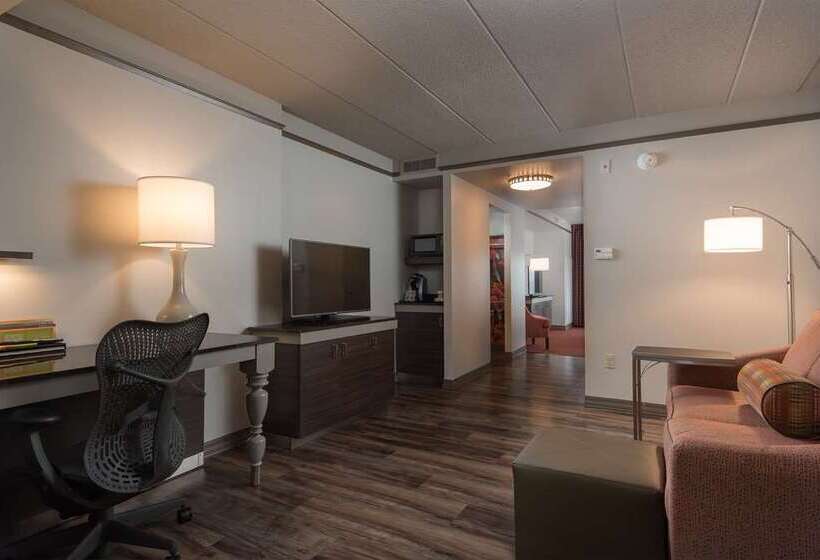 Chambre Standard, Hilton Houston Plaza/medical Center