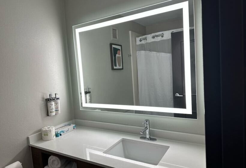 Номер Стандарт 2 Двуспальные Кровати, Holiday Inn Roanoke   Tanglewood Route 419 & I 581, An Ihg
