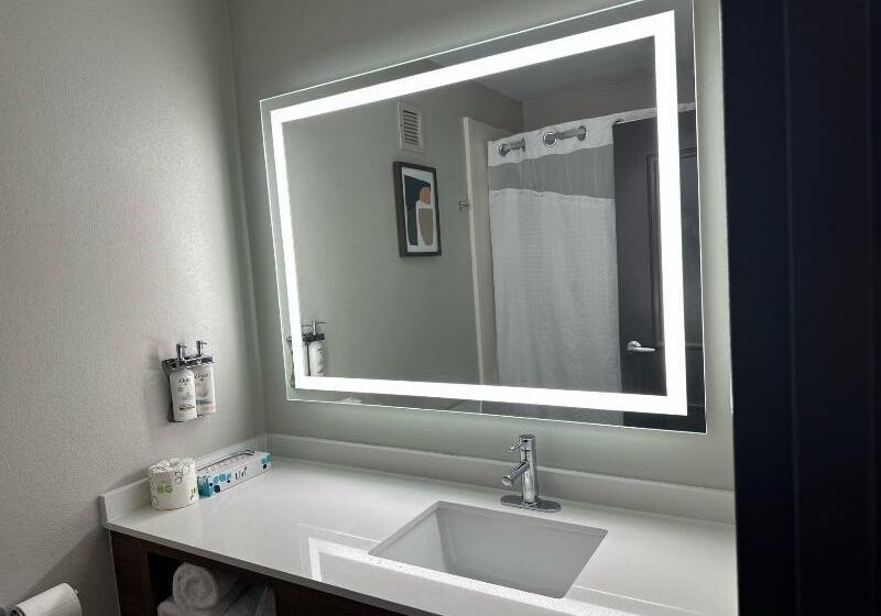 Стандартный Номер Кровать Кинг, Holiday Inn Roanoke   Tanglewood Route 419 & I 581, An Ihg