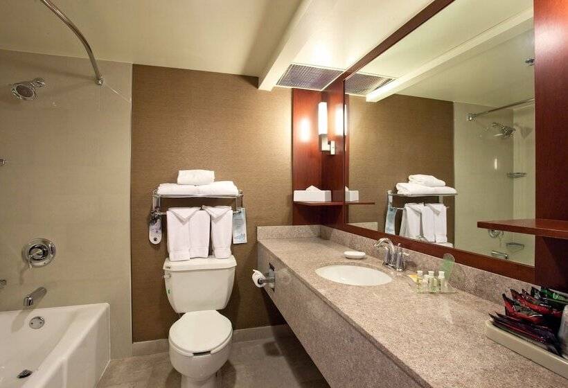 스탠다드 룸, Holiday Inn Los Angeles Gateway Torrance, An Ihg
